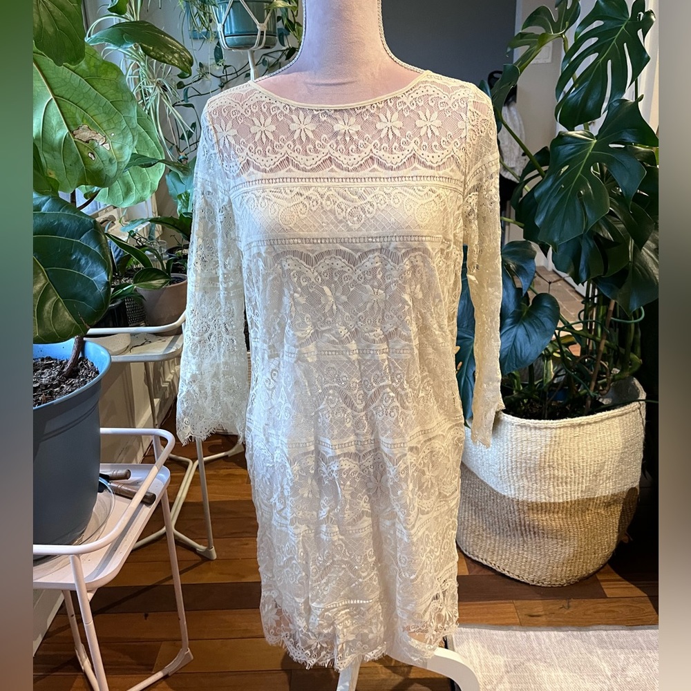 Gorgeous ivory lace dress from Max Studio - new with tags